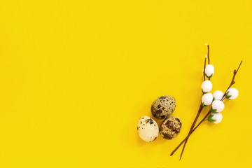 quail eggs and decorative willow branch on yellow paper background in minimal style. Easter concept. Template Creative Flat lay Top view Copy space lettering, text or your design