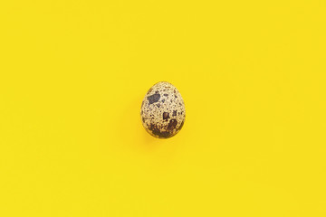 One quail egg on yellow paper background in minimal style. Easter concept. Template Creative Flat lay Top view Copy space lettering, text or your design