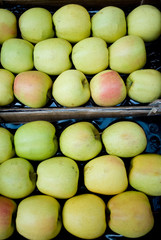 box of fresh ripe organic apples, green, yellow and red, fruit, sold in a farmer's market, diet, nourishment, juicy, vitamins, Milan, Italy