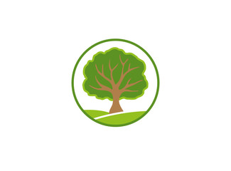 A leafy tree on a green plateau, twigs logo