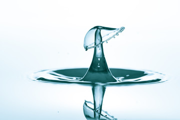 Collision of falling water droplets