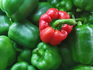 Obraz na płótnie Canvas norRed peppers with blurred green background 
