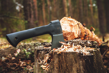 axe in a tree stump