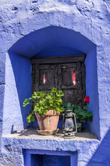 Fototapeta na wymiar Flower pot in blue window niche