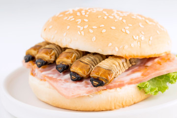 Food Insects: Worm beetle or Scarab Beetle for eating as food items in bread burger made of cooked insect meat with vegetable on plate is so rich in protein edible and delicious. Entomophagy concept.