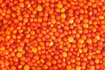 red lentils background, close-up, top view, isolated on white background
