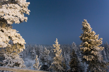 polar night in Finland