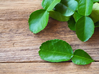 Fresh green kaffir lime leaves or Bergamot On old wooden boards in a spice concept for Thai food