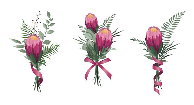 Vector flowers set. Colorful floral collection with leaves and flowers. Protea Flower bouquet.