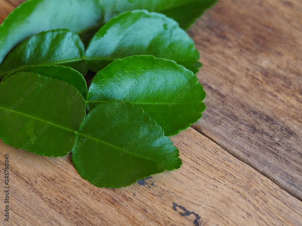 Wall mural Fresh green kaffir lime leaves or Bergamot On old wooden boards in a spice concept for Thai food