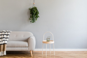Scandinavian home interior with grey design sofa, wooden coffe table, plant and stylish blanket....