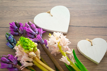 Blue muscari flowers, Grape Hyacinth, on wooden background with white hearts, copy space, vertical