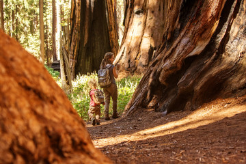 Family with boy visit Sequoia national park in California, USA