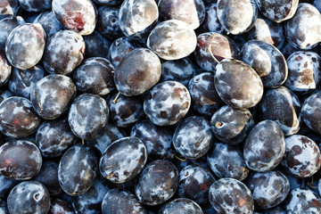 many ripe plums as background