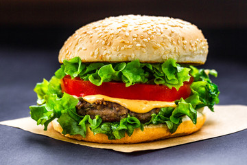 Delicious fresh homemade burger on a dark background. Fast and bad food