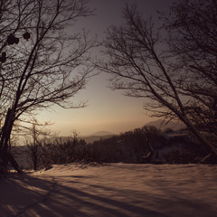 Beautiful, magic landscape; snow and soft sunrise pink light. Nobody around, just peace