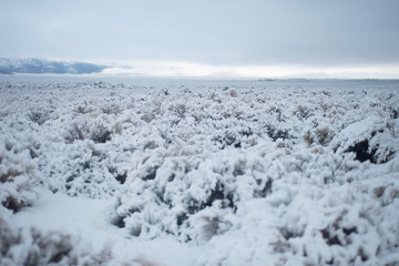 snowy desert winter landscape valley Eastern Sierra Nevadas, California