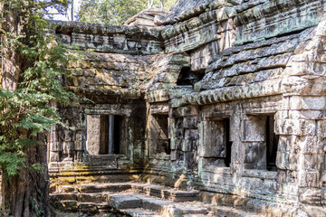 Ruine angkor