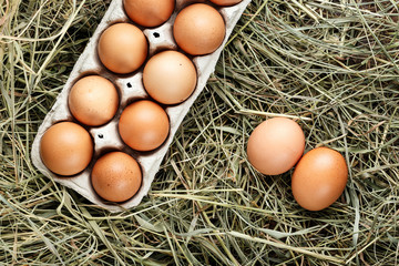 fresh eggs in the straw