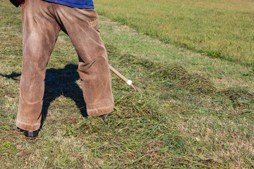 close look at senior farmer raking