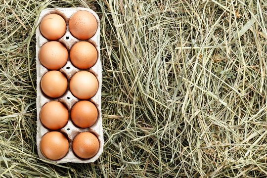 fresh eggs in a tray
