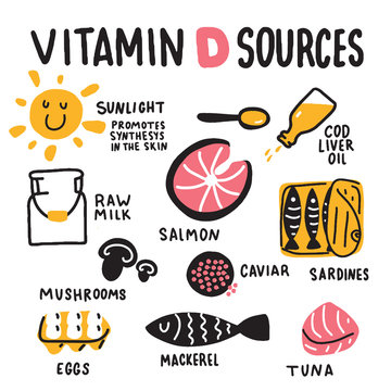 Vitamin D sources. Hand drawn illustration of different food rich of vitamin d. Vector.