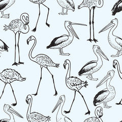 seamless pattern of cartoon pelicans and flamingos