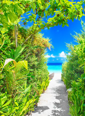 Pfad zum Traumstrand