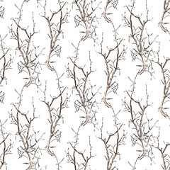 Vector background of sketches of trees branches