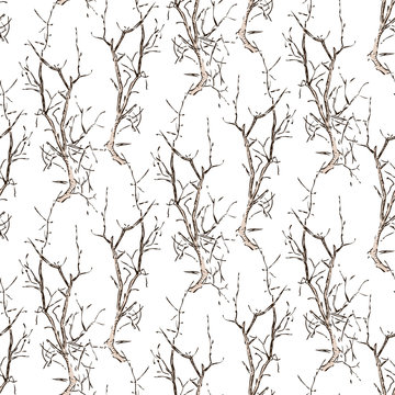 Vector background of sketches of trees branches
