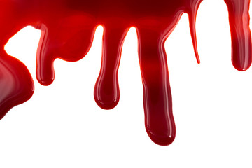 Dripping blood isolated on white background. Flowing red blood splashes, drops and trail.