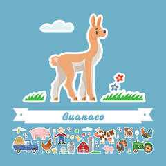 Cartoon guanaco vector flat illustration. Character isolated peru animal. Farming collection exotic rural stickers.