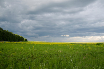 green field and blue sky