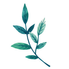 Fototapeta premium Decorative green leaves on branch. Hand drawn watercolor illustration. Isolated on white background.