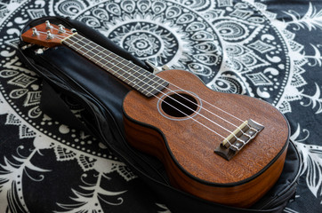 Fototapeta na wymiar ukulele on mandala background