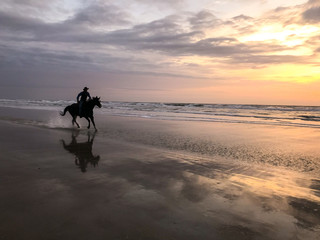 silhouette of horse ad man on the beach at sunset