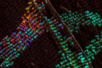 papillon Chrisiridia Rhipheus en macro © jgd.cannes