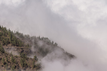 Dicke Wolken verhüllen die Wälder auf den Gipfeln