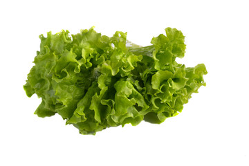 Juicy and green lettuce on white background, The concept of health