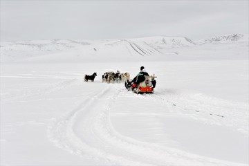 Unterwegs im Nirgendwo - Ostgr&ouml;nland
