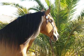 Hola © Sergio