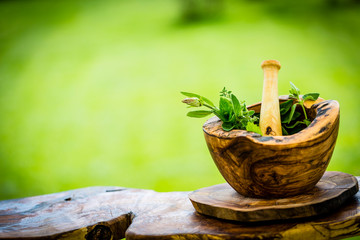 Fresh herbs from the garden in wooden olive mortar against with sunny garden background. Image - 245776292
