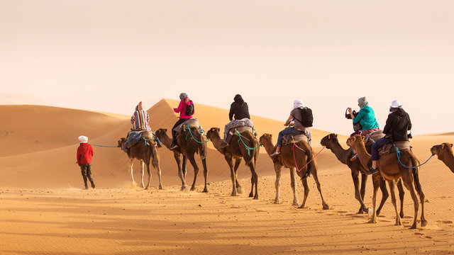 Camels caravan in the dessert of Sahara with beautiful dunes in background. Morocco