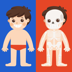 Obraz na płótnie Canvas Kid body anatomy vector. Human skeleton.