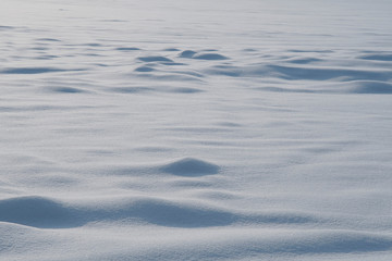 field of snow