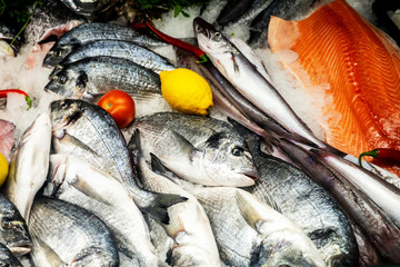 Fresh Dorado fish on ice and red salmon fillet laying on ice at food market or supermarket store