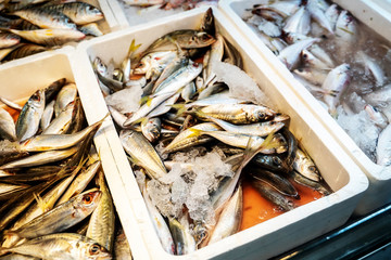 Sliced raw, not cooked fish, lying in the ice on the counter in the supermarket. Fresh fish. Cooled fish fillet o on store shelves