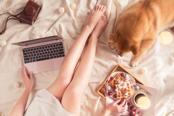 Top view of woman in bed with laptop at home, red Shiba Inu dog, cup of coffee and belgian waffles on hygge background. Flat lay of feminine blogger working place in Kawaii style
