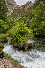 Rocks an vegetation on the River Sorgue. The river Sorgue with rocks and trees, Fontaine de Vaucluse, Provence, Luberon, Vaucluse, France