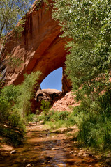 Jacob Hamblin arch view from the bottom of Coyote Gulch (Grand Staircase - Escalante National...